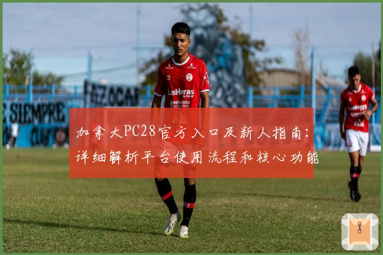 加拿大PC28官方入口及新人指南：详细解析平台使用流程和核心功能推荐