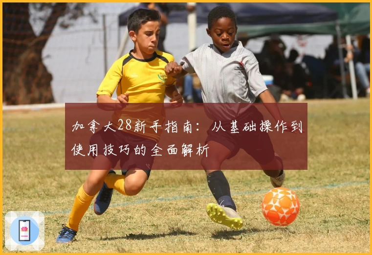 加拿大28新手指南：从基础操作到使用技巧的全面解析