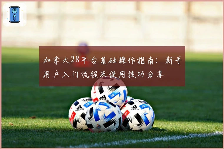 加拿大28平台基础操作指南：新手用户入门流程及使用技巧分享