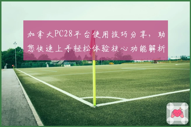 加拿大PC28平台使用技巧分享，助您快速上手轻松体验核心功能解析