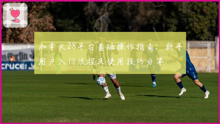 加拿大28平台基础操作指南：新手用户入门流程及使用技巧分享