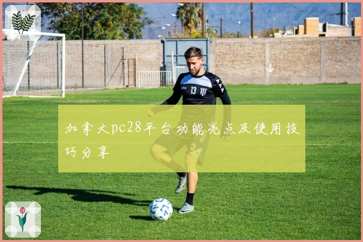 加拿大pc28平台功能亮点及使用技巧分享