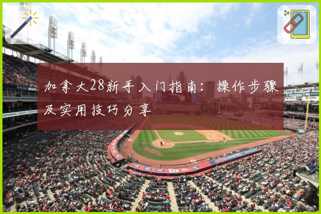 加拿大28新手入门指南:操作步骤及实用技巧分享