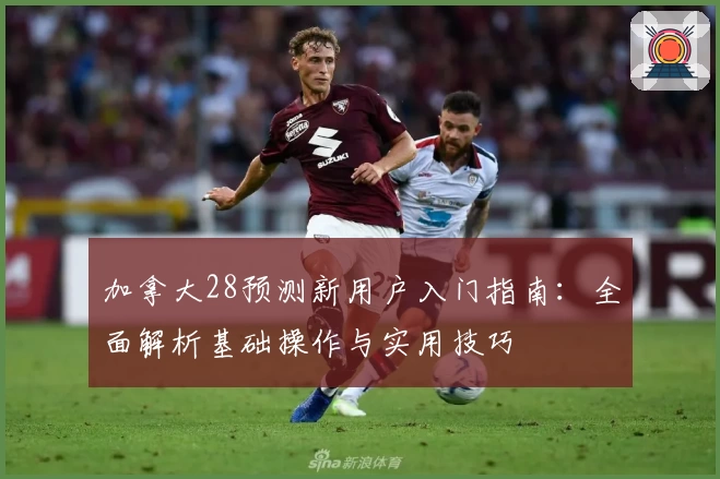 加拿大28预测新用户入门指南：全面解析基础操作与实用技巧