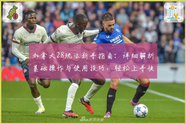 加拿大28玩法新手指南：详细解析基础操作与使用技巧，轻松上手快速体验