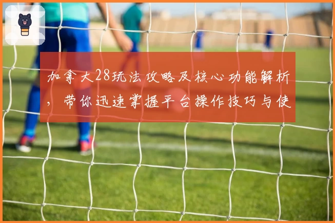 加拿大28玩法攻略及核心功能解析,带你迅速掌握平台操作技巧与使用体验分析