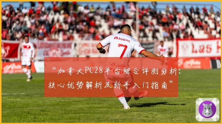 “加拿大PC28平台综合评测分析：核心优势解析及新手入门指南”