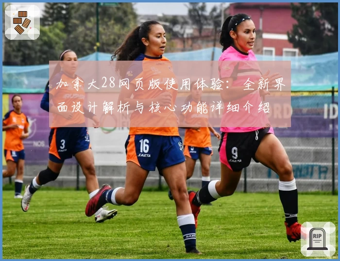 加拿大28网页版使用体验：全新界面设计解析与核心功能详细介绍