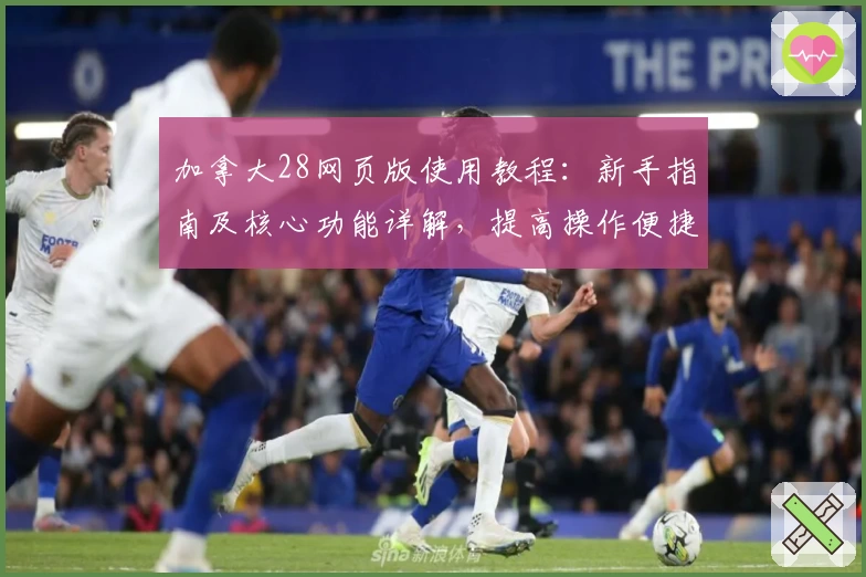 加拿大28网页版使用教程：新手指南及核心功能详解，提高操作便捷性