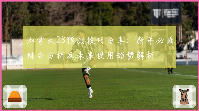 加拿大28预测技巧分享：新手必看综合分析及未来使用趋势解析