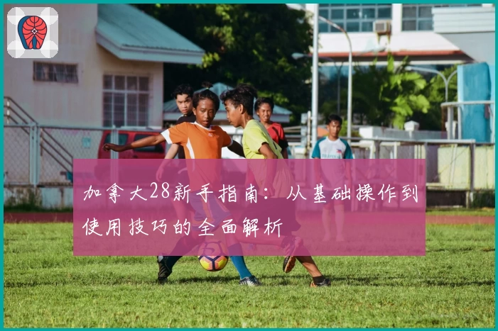 加拿大28新手指南：从基础操作到使用技巧的全面解析