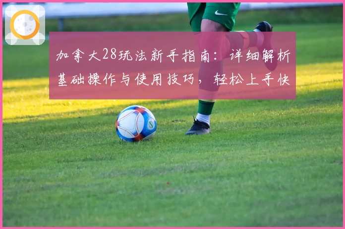 加拿大28玩法新手指南：详细解析基础操作与使用技巧，轻松上手快速体验