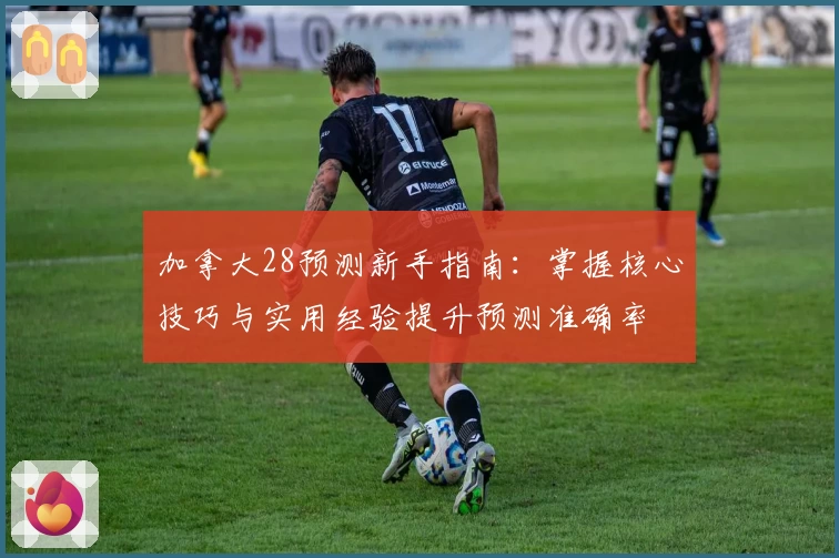 加拿大28预测新手指南：掌握核心技巧与实用经验提升预测准确率