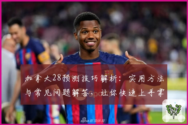 加拿大28预测技巧解析：实用方法与常见问题解答，让你快速上手掌握核心规律
