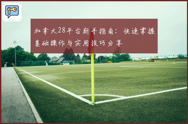 加拿大28平台新手指南：快速掌握基础操作与实用技巧分享