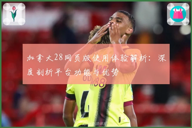 加拿大28网页版使用体验解析：深度剖析平台功能与优势