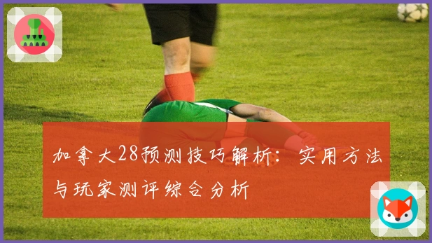 加拿大28预测技巧解析：实用方法与玩家测评综合分析