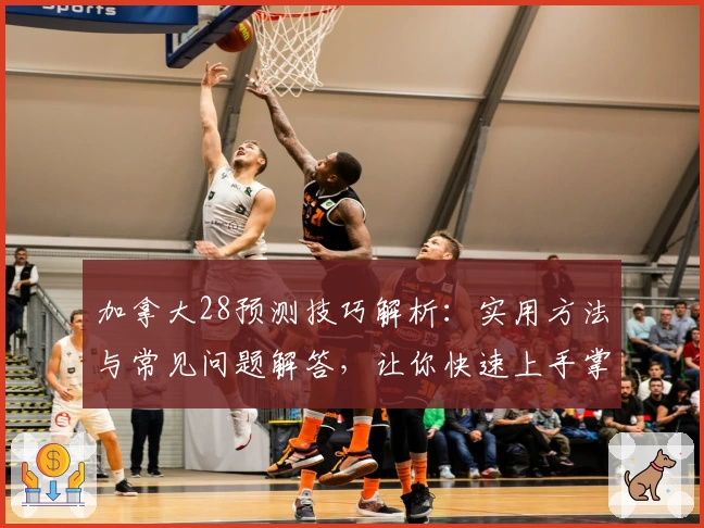加拿大28预测技巧解析：实用方法与常见问题解答，让你快速上手掌握核心规律