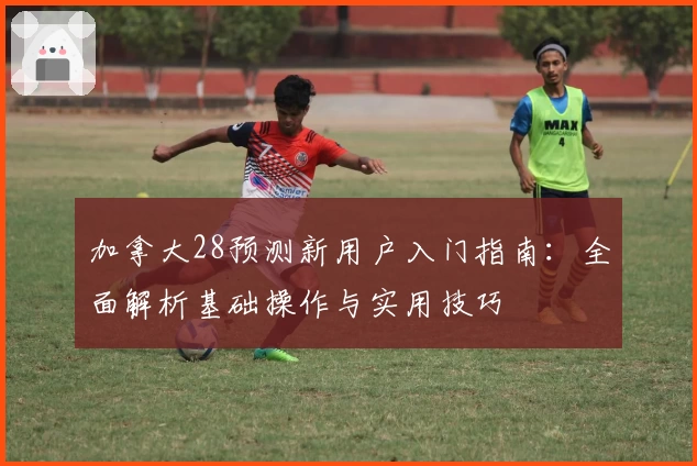 加拿大28预测新用户入门指南：全面解析基础操作与实用技巧